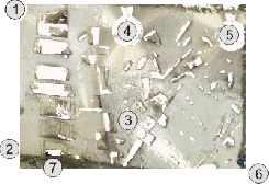 Вид участка раскопок с семи различных позиций сканера